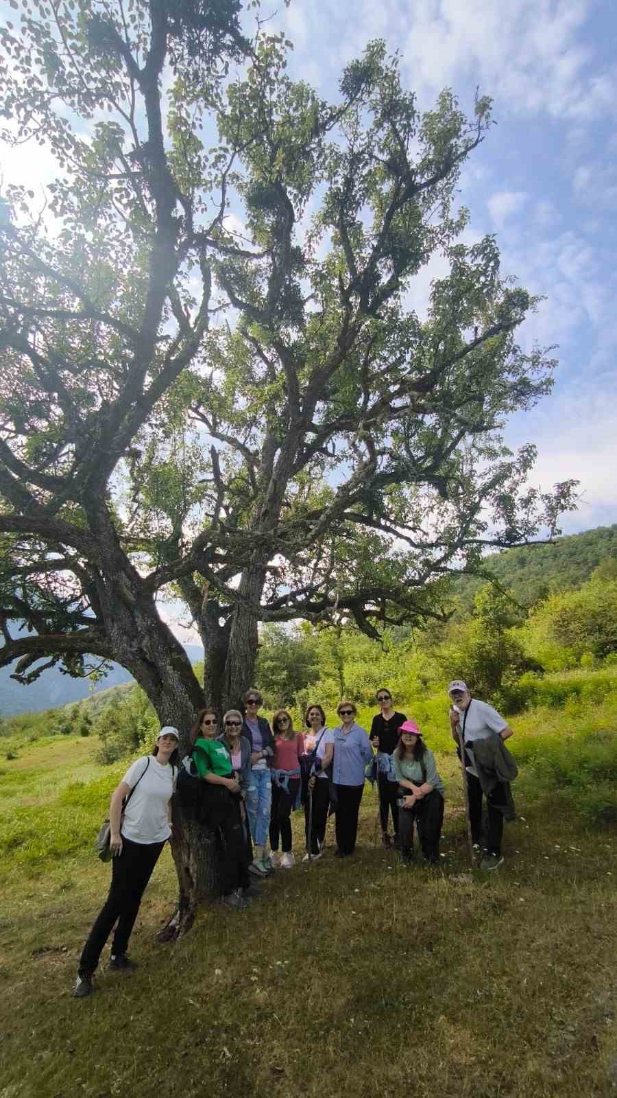 Turistik Karaelmas trenindeki yolcular Yenice ormanlarına hayran kalarak döndü 