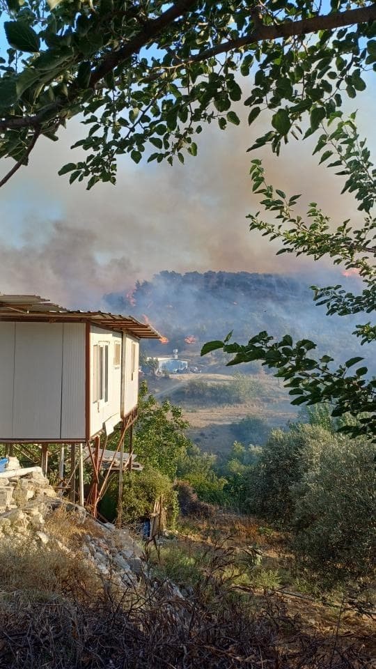 Hatay’da orman yangını 