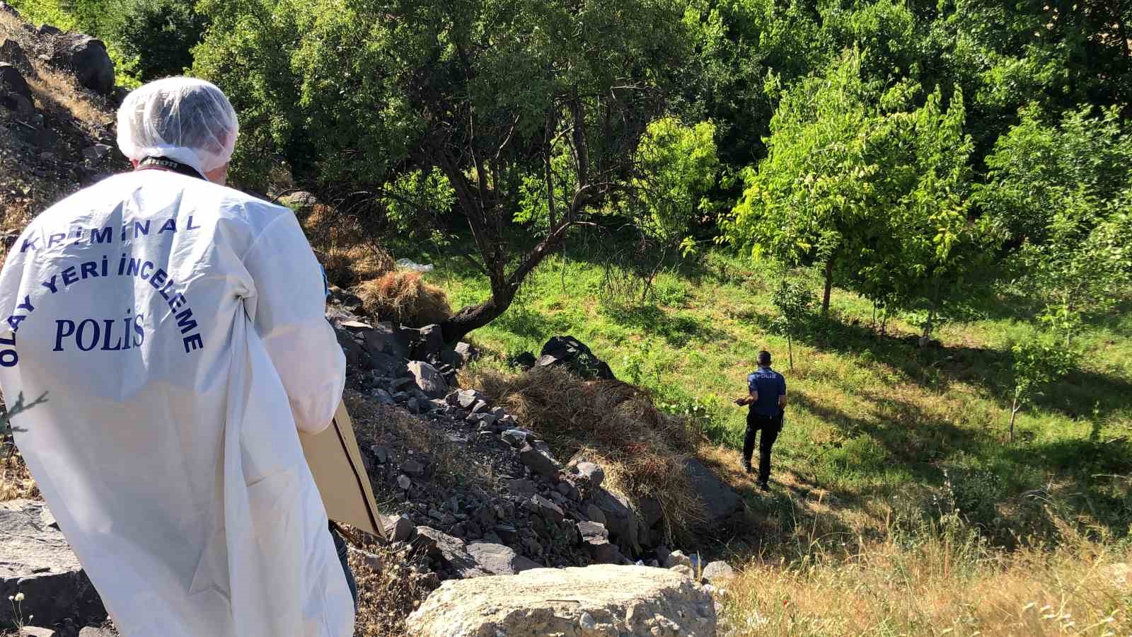 Elazığ’da ağaca asılı halde erkek cesedi bulundu 