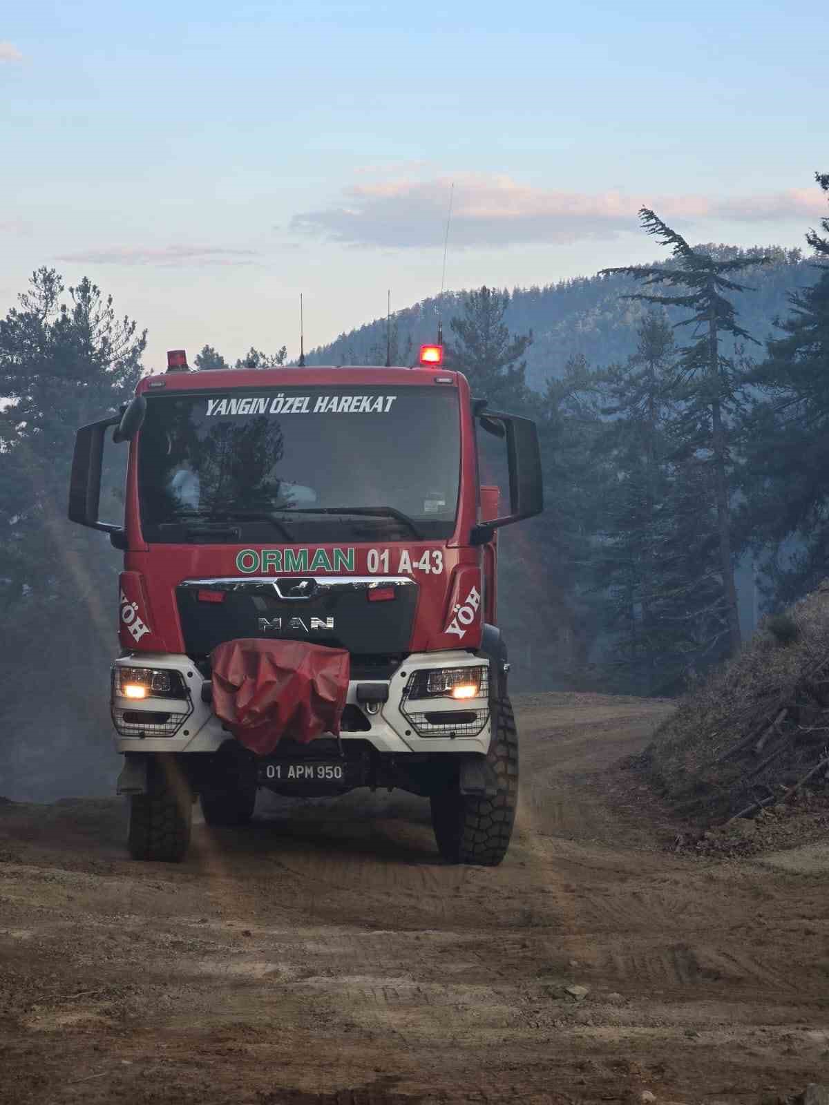 Orman yangını kontrol altına alındı 