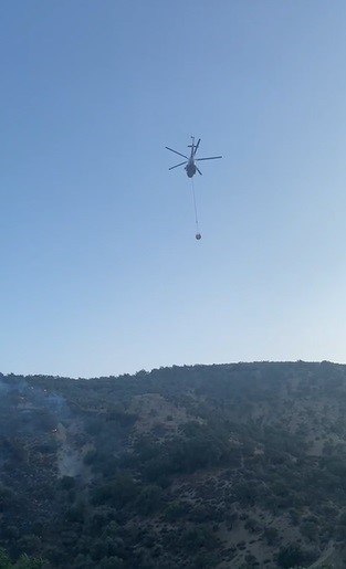 Hatay’da çıkan orman yangını kontrol altına alındı 
