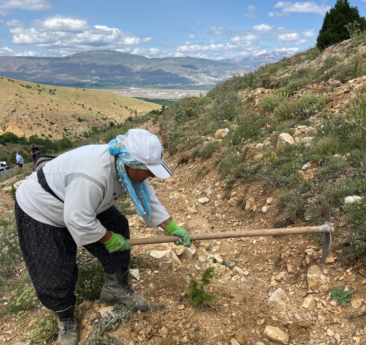 Erzincan’da yeşil vatana kadın eli değiyor 