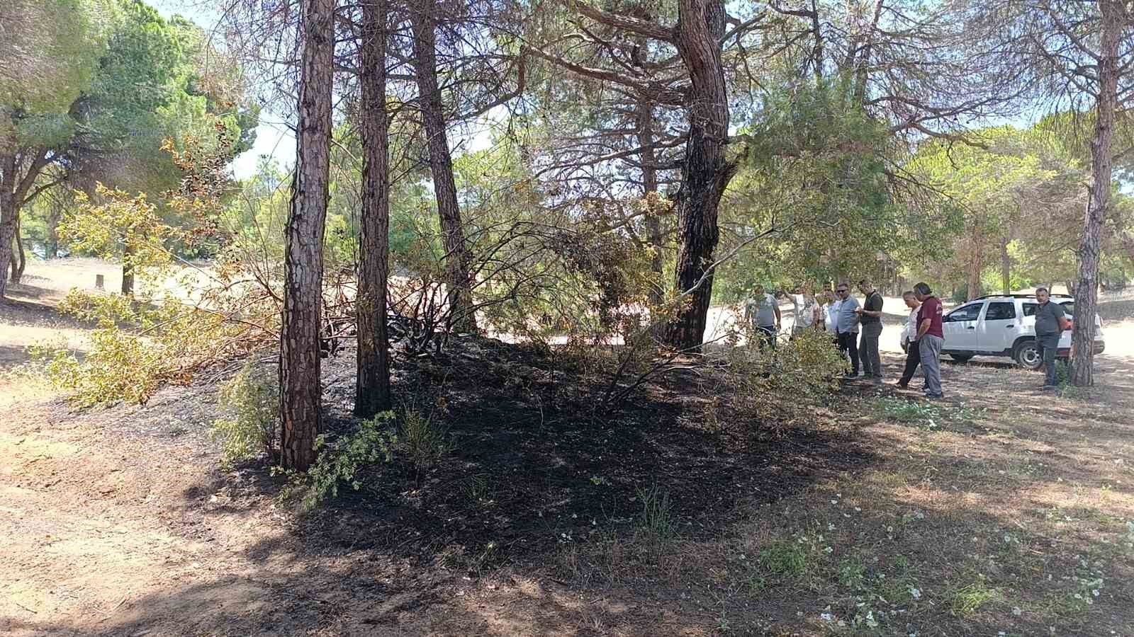 Manavgat’ta çalılık yangını büyümeden söndürüldü 