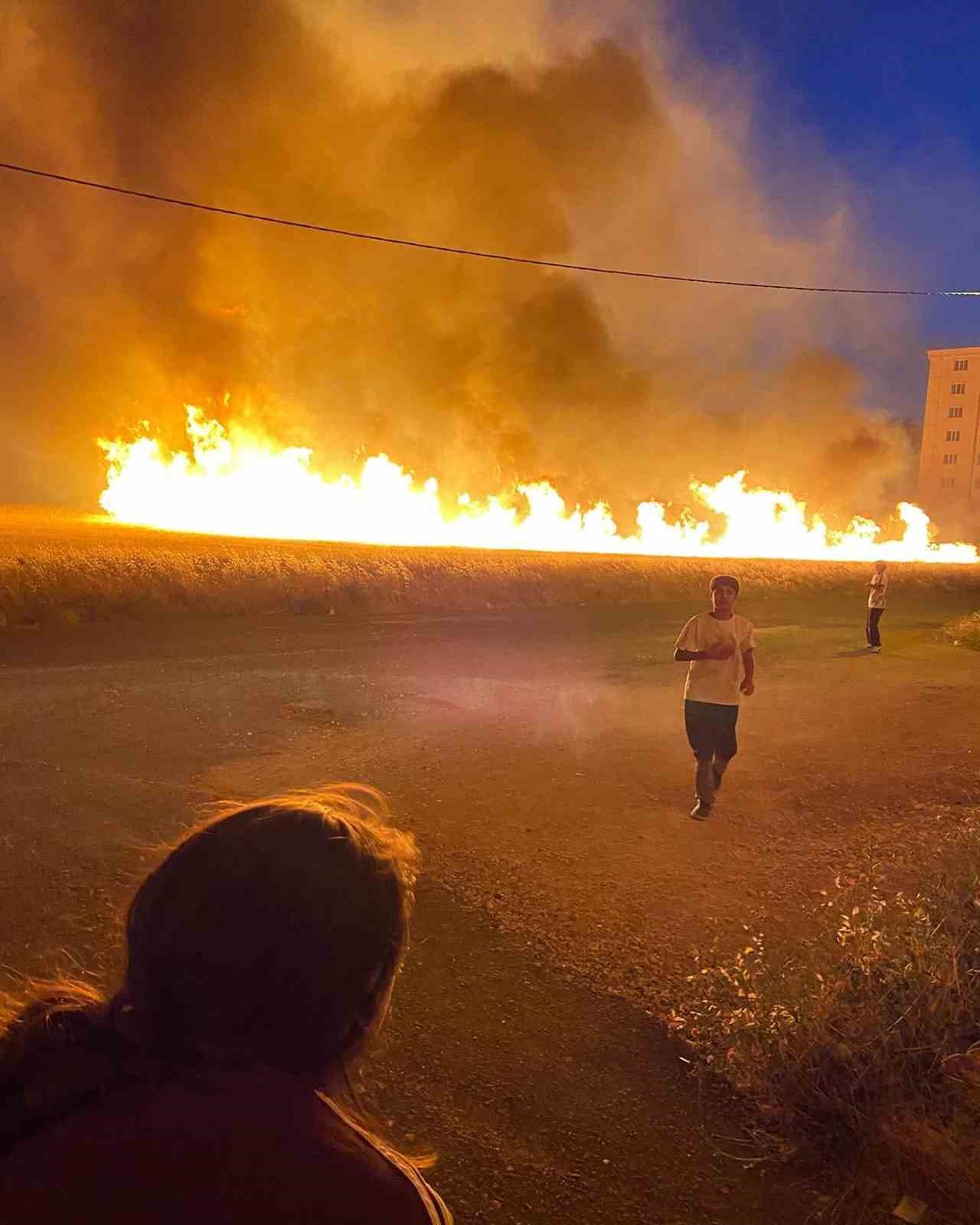 Diyarbakır’da 40 dönüm buğday yangında küle döndü 