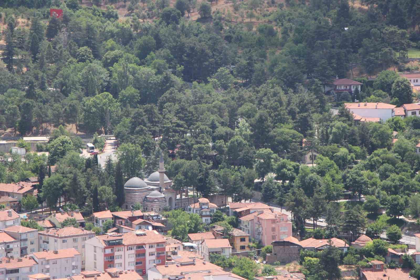 Kahverengi kokarca yayılıyor: Amasya’da da tespit edildi 