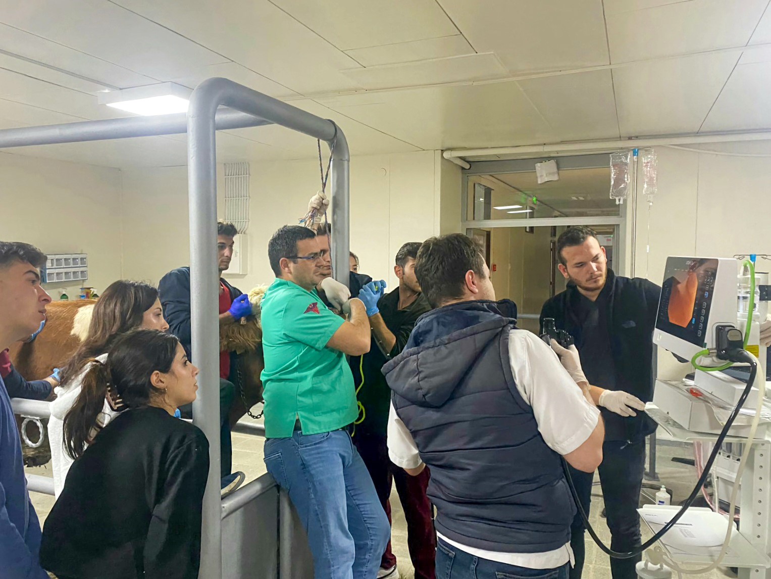 Kastamonu Üniversitesi’nde 5 ayda 334 hayvan tedavi edildi 