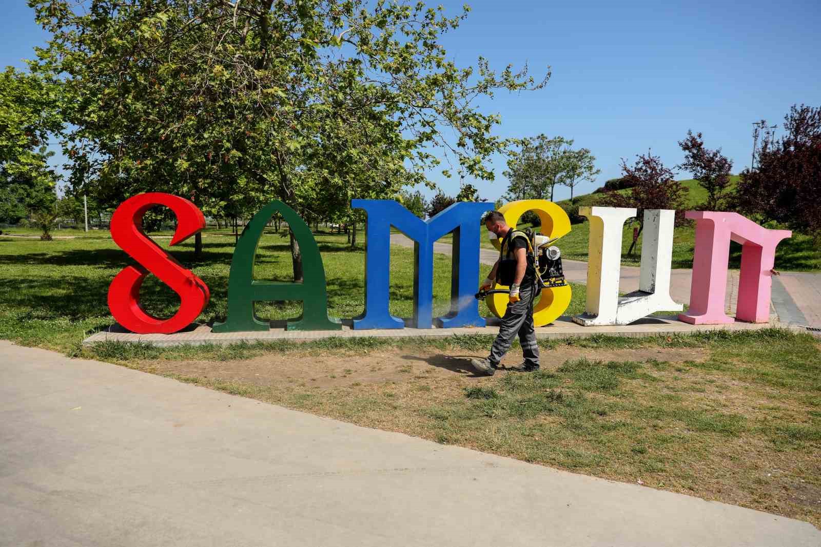 Samsun’da kenelere karşı ilaçlama seferberliği 