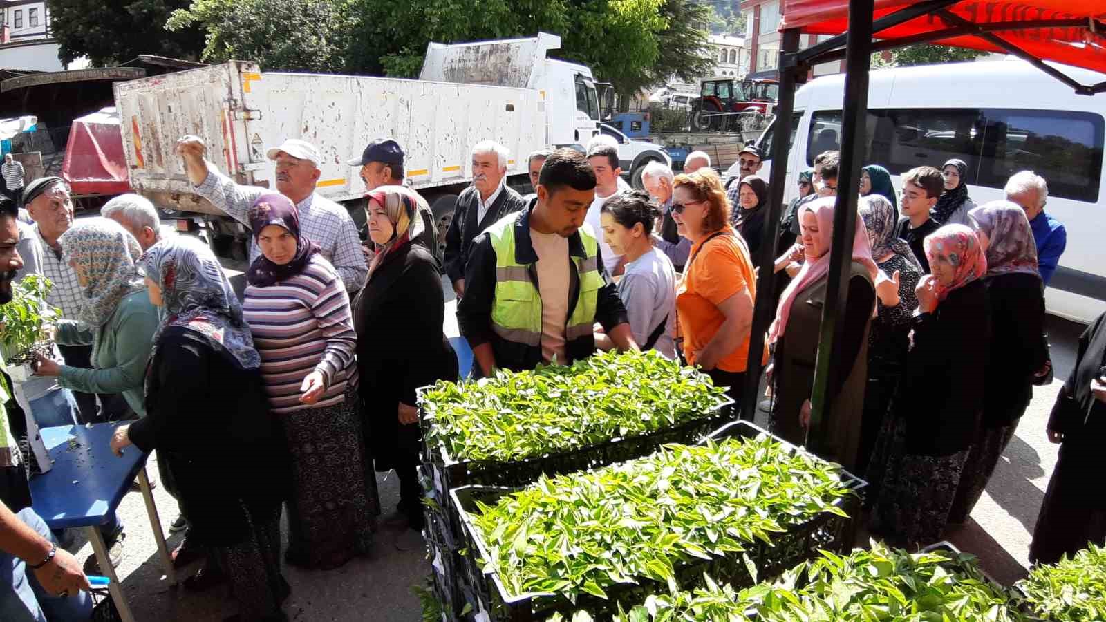 Mudurnu’da 108 bin fide dağıtıldı, çiftçiler akın etti 