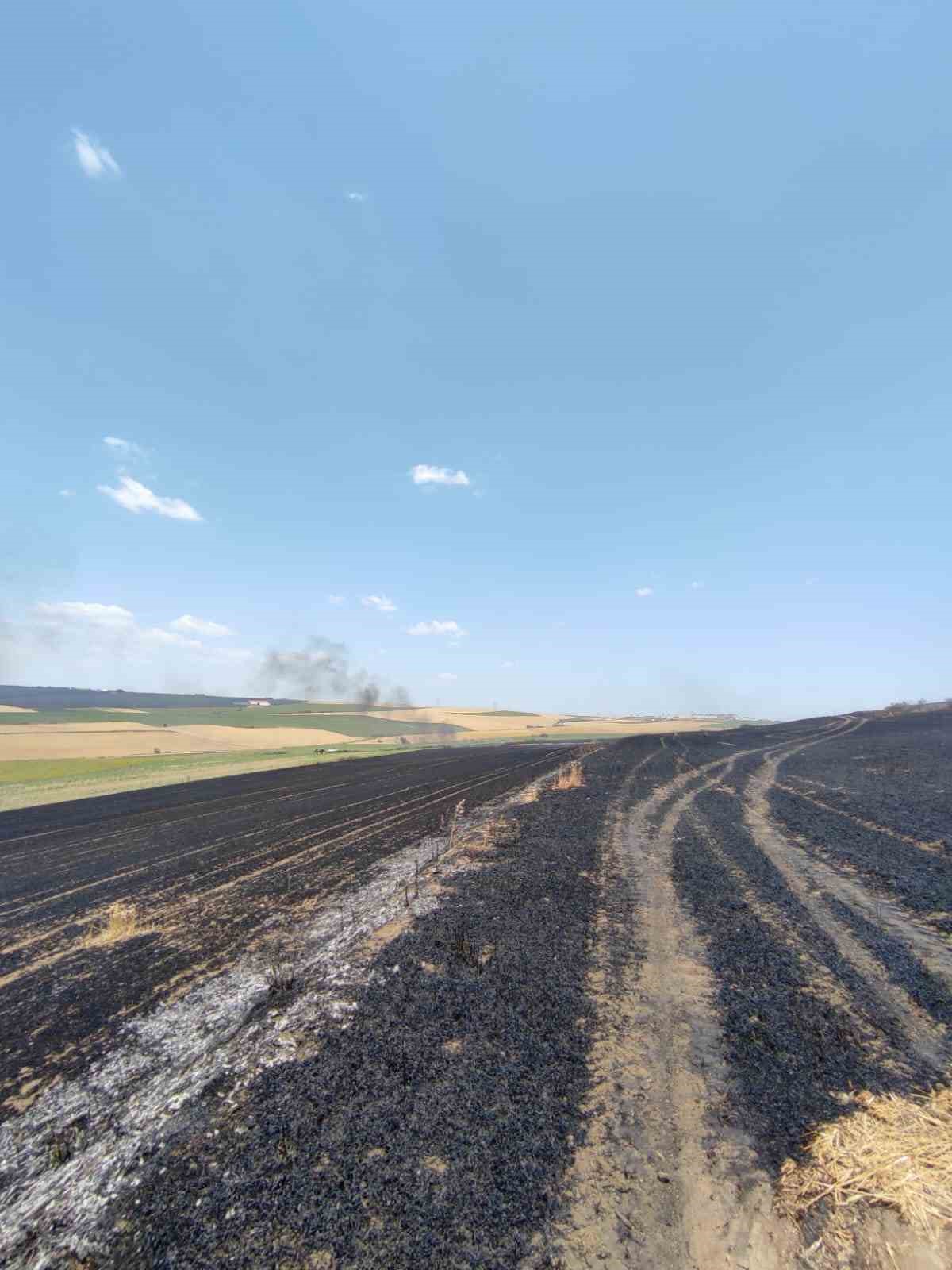 Tekirdağ’da 150 dönümde ekili buğday küle döndü 