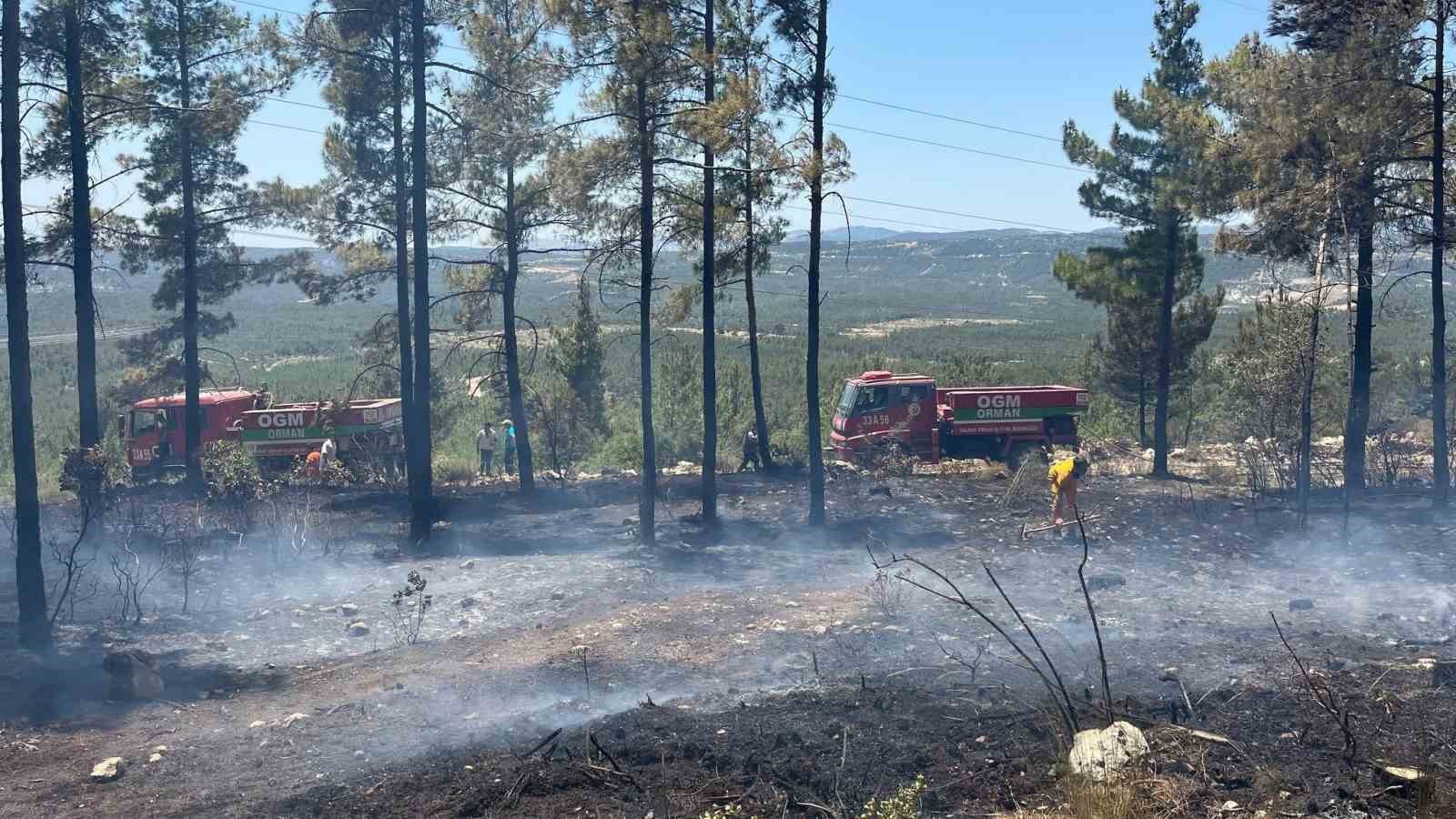 Mersin Gülnar’da orman yangını söndürüldü 