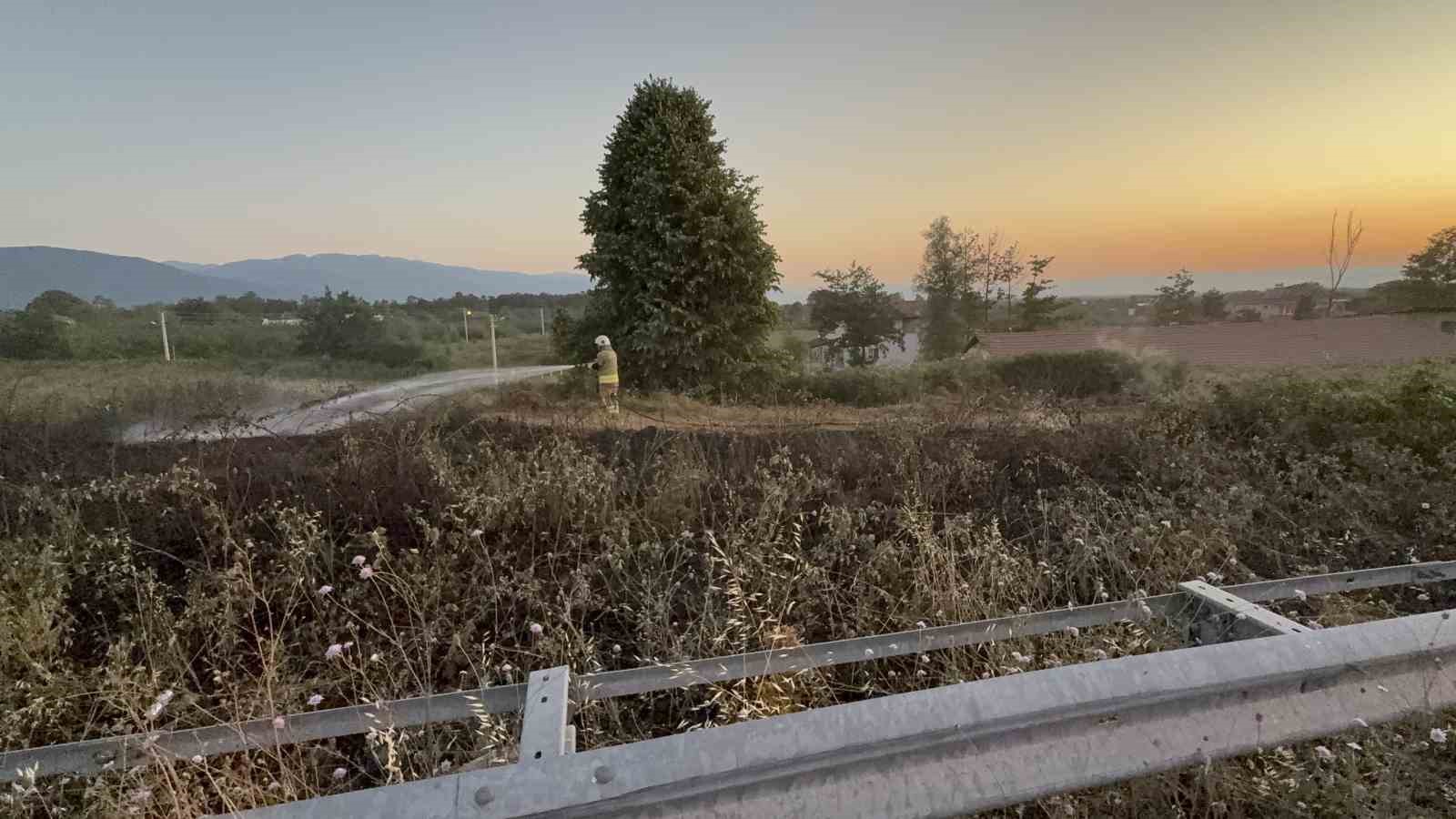 Yol kenarına atılan izmarit, otları yaktı 