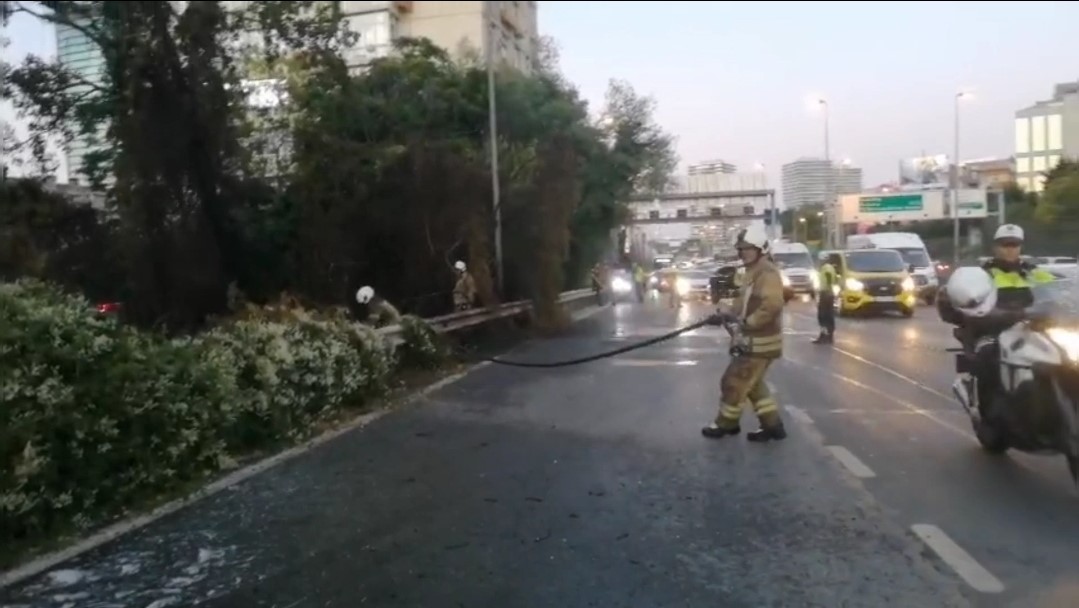 Şişli’de ağaçlık alanda çıkan yangın korkuttu 