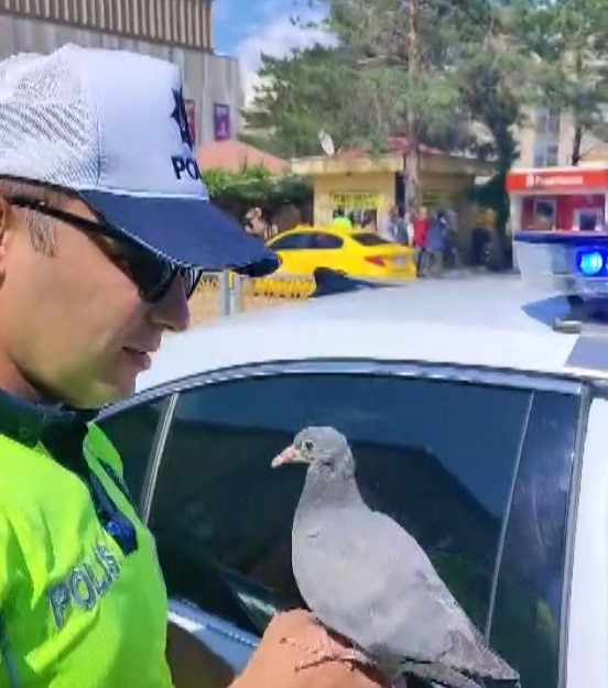 Güvercine su içiren trafik polisi merhametiyle yürekleri ısıttı 