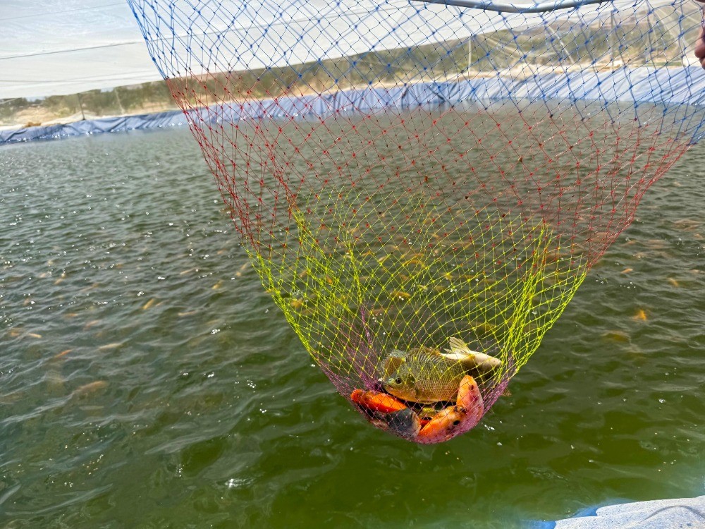 TİKA, Filistin’de üretim tesisleri kuruyor 