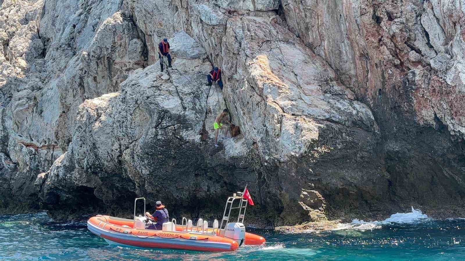 Alanya Kalesi’nde kayalık bölgede mahsur kalan dağ keçisi kurtarıldı 