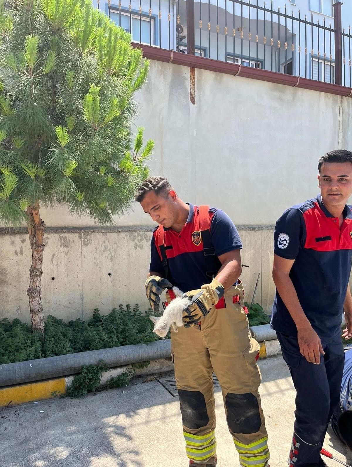 İskenderun’da aracın kaputuna giren kediyi itfaiye kurtardı 