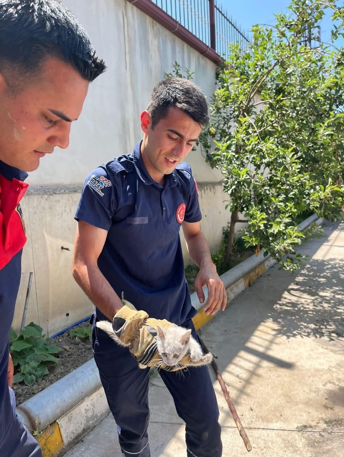 İskenderun’da aracın kaputuna giren kediyi itfaiye kurtardı 