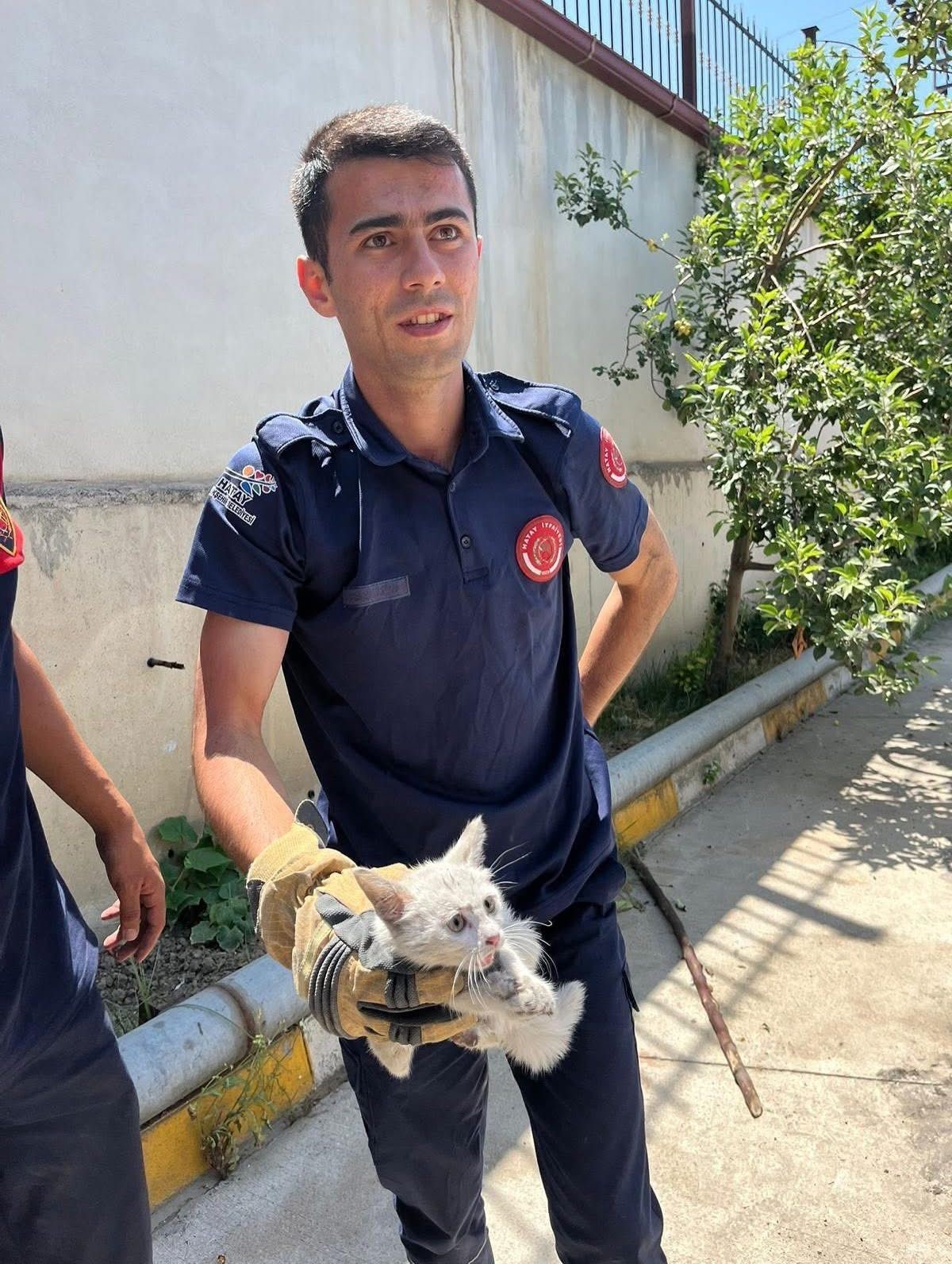 İskenderun’da aracın kaputuna giren kediyi itfaiye kurtardı 