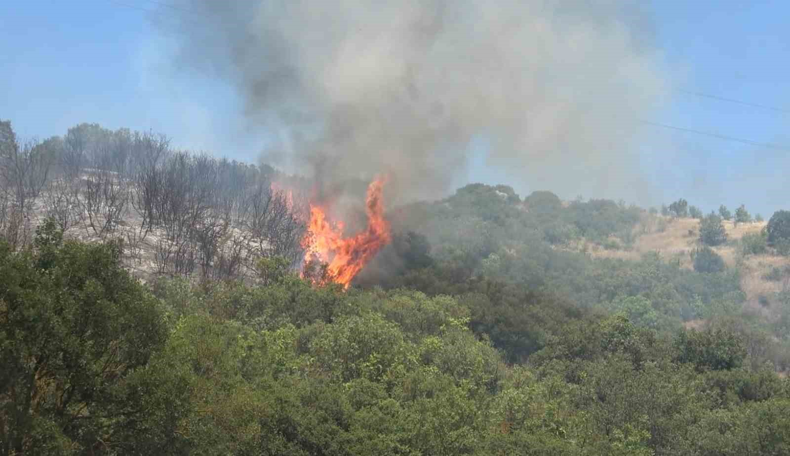 Balıkesir’de orman yangını 