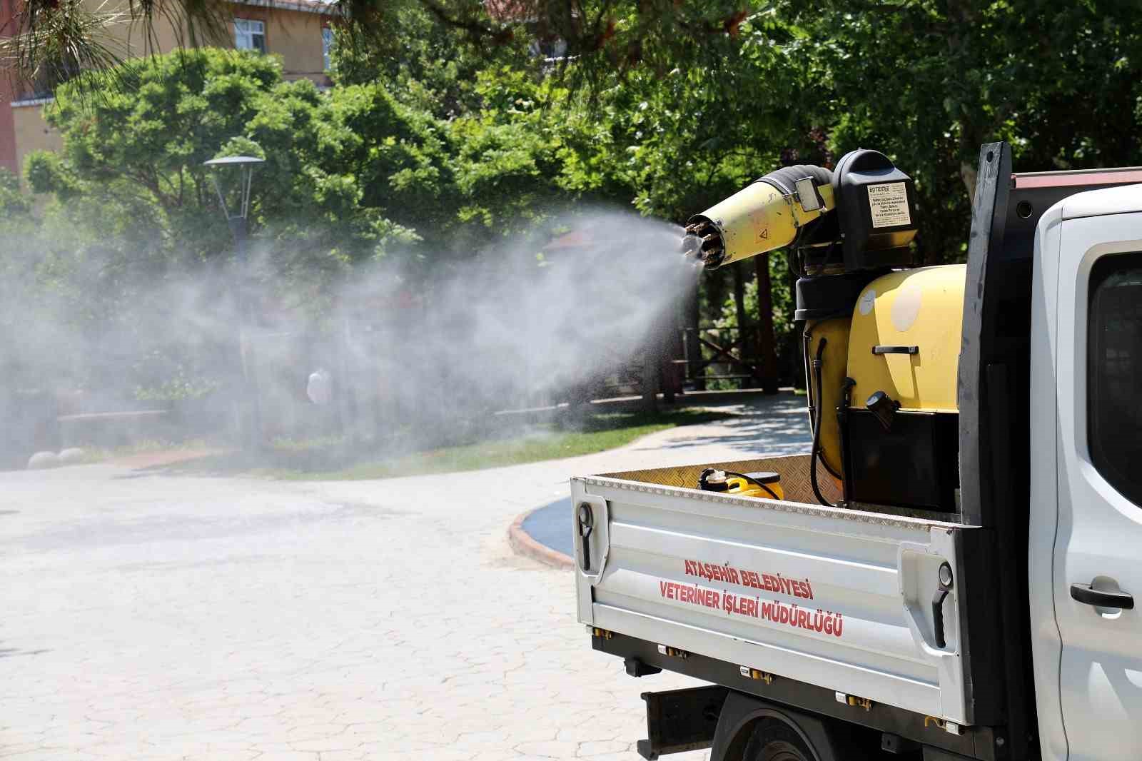 Ataşehir’de kenelere karşı etkili mücadele devam ediyor 