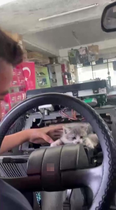 Otomobilin torpidosuna sıkışan yavru kedi, ustaların seferberliğiyle kurtarıldı 