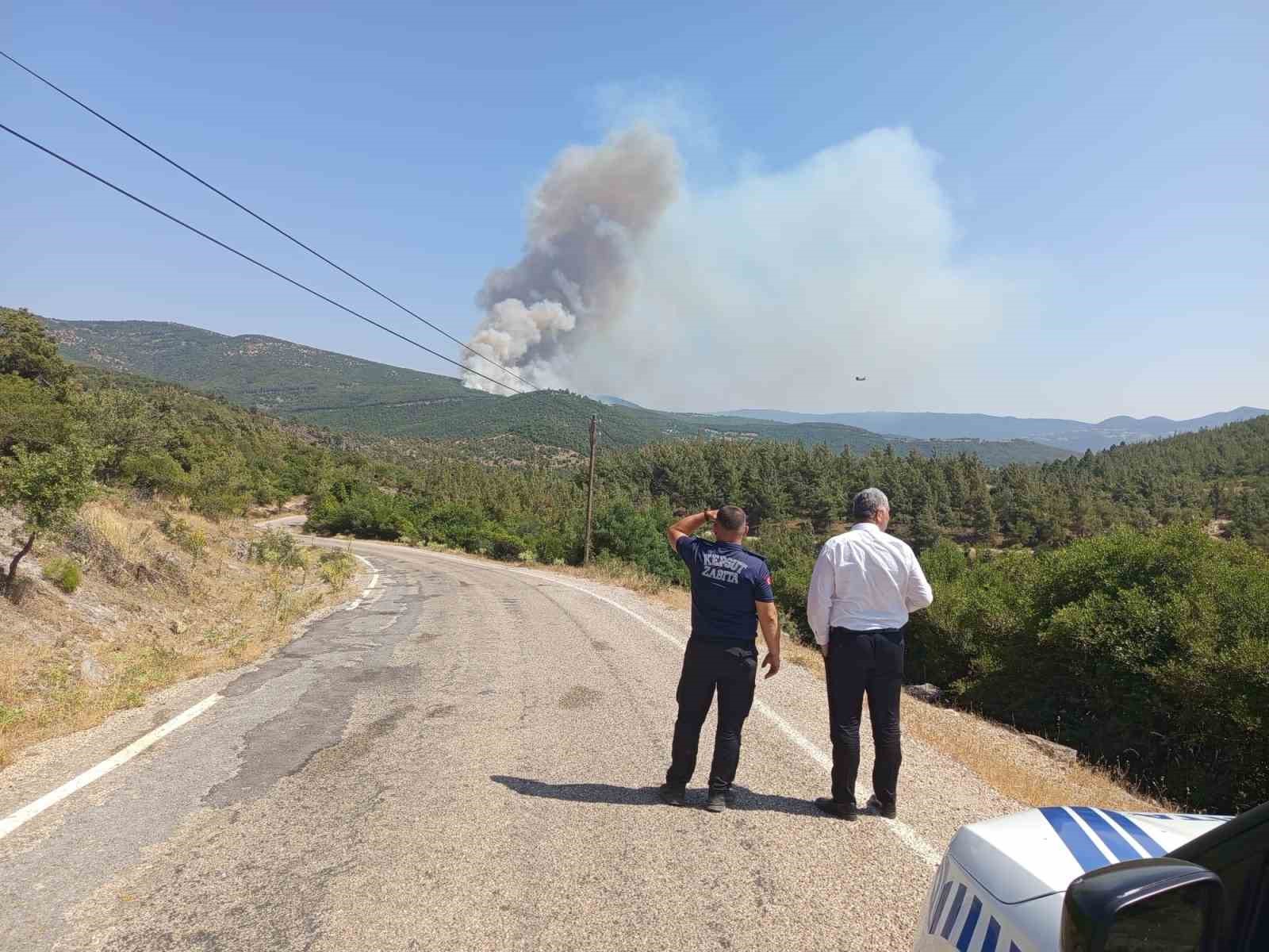 Balıkesir’deki orman yangınına müdahale ediliyor 
