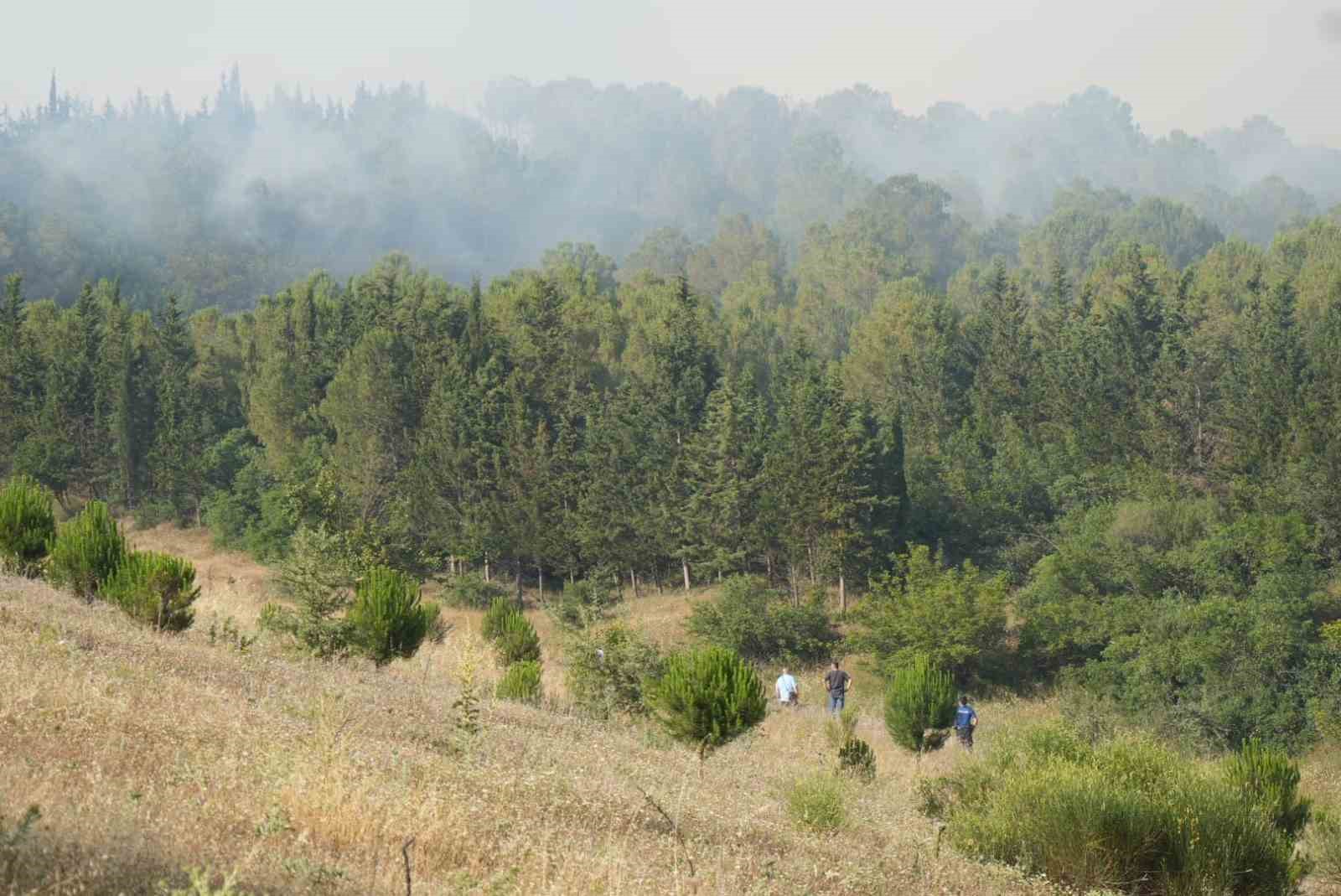 Balıkesir’deki orman yangınlarına havadan ve karadan müdahale sürüyor 