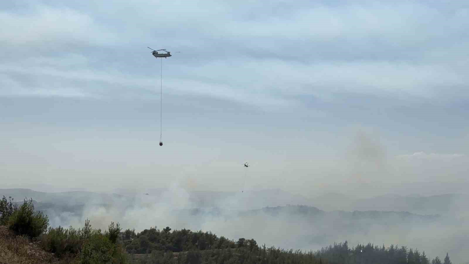 Adana’da orman yangını kontrol altında: 6 gözaltı
