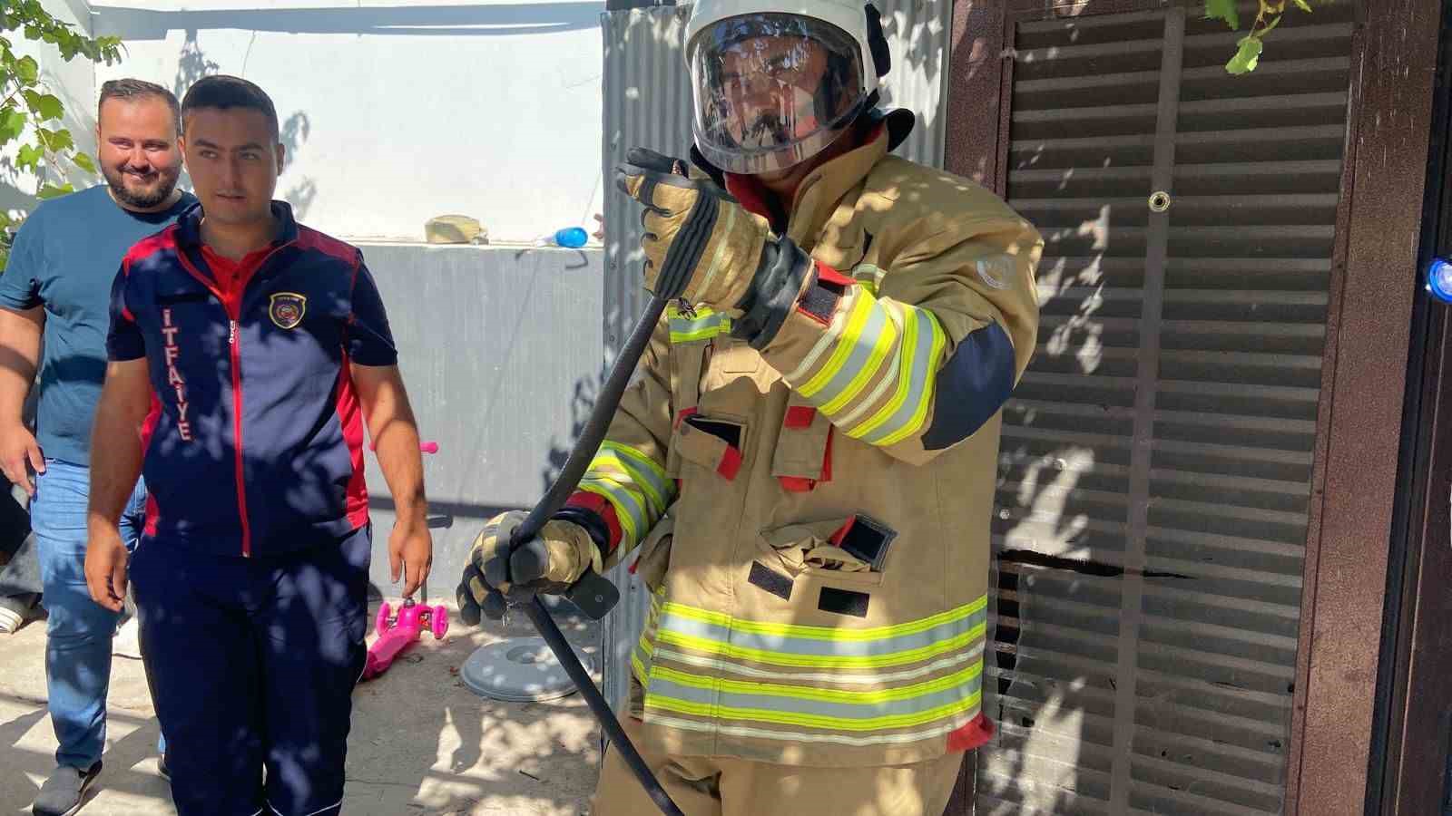 Doğaya bırakıldığı esnada yönünü şaşıran yılan gülümsetti 