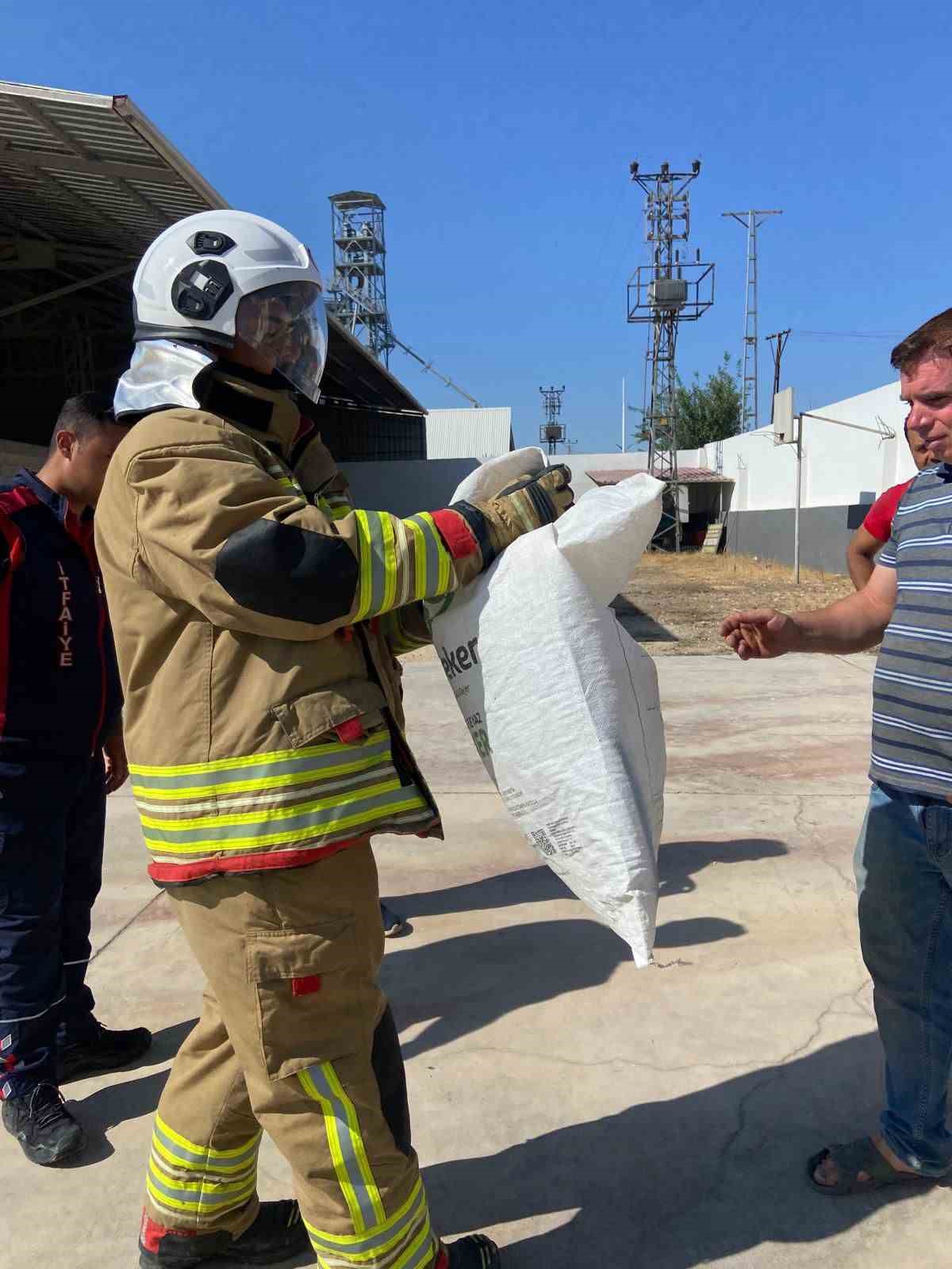 Doğaya bırakıldığı esnada yönünü şaşıran yılan gülümsetti 