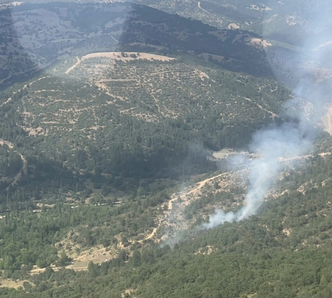 Kütahya’daki orman yangınında 8 dekar alan zarar gördü 