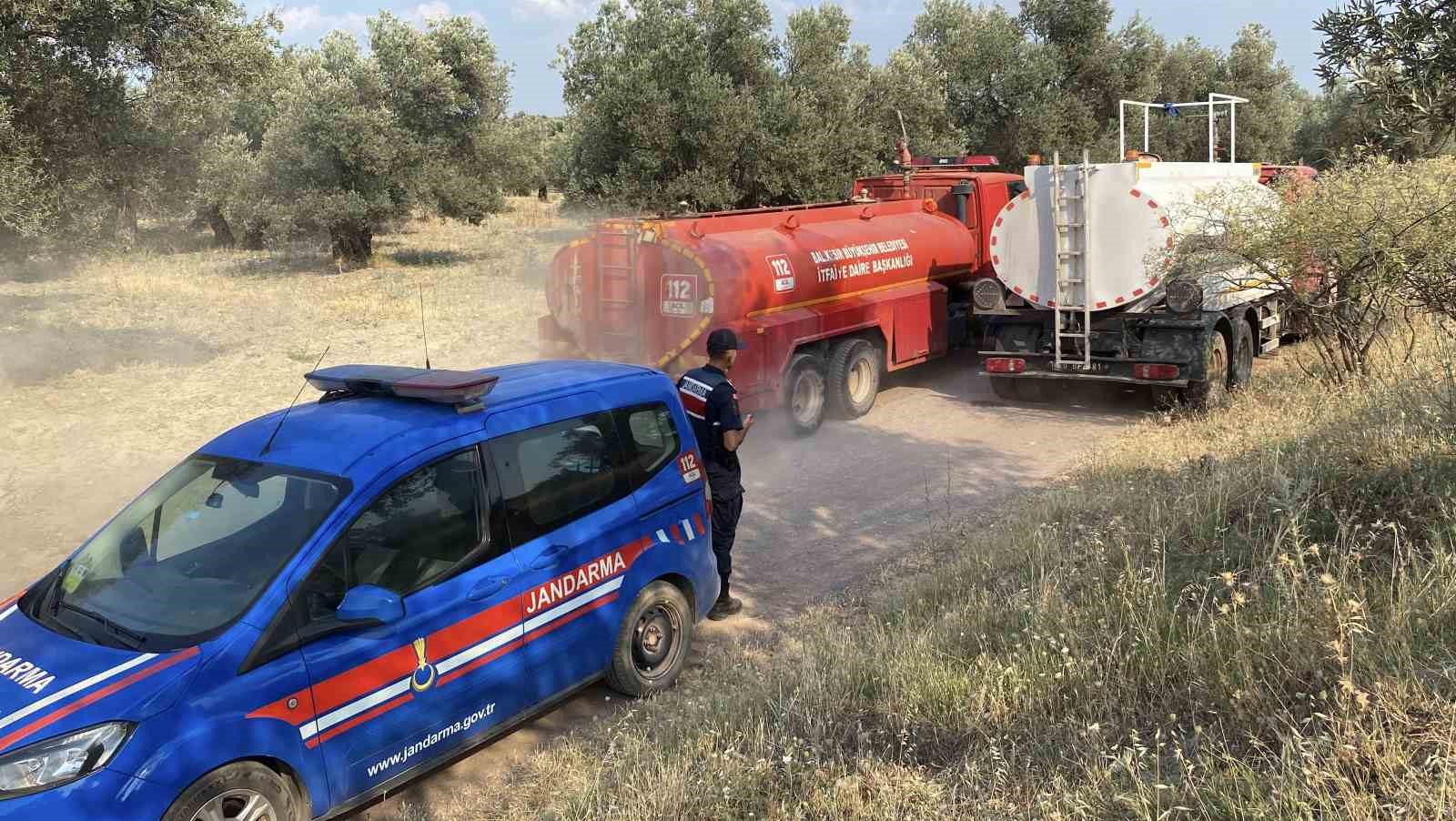 Ayvalık’ta zeytinlik alanda çıkan yangın kontrol altına alındı 
