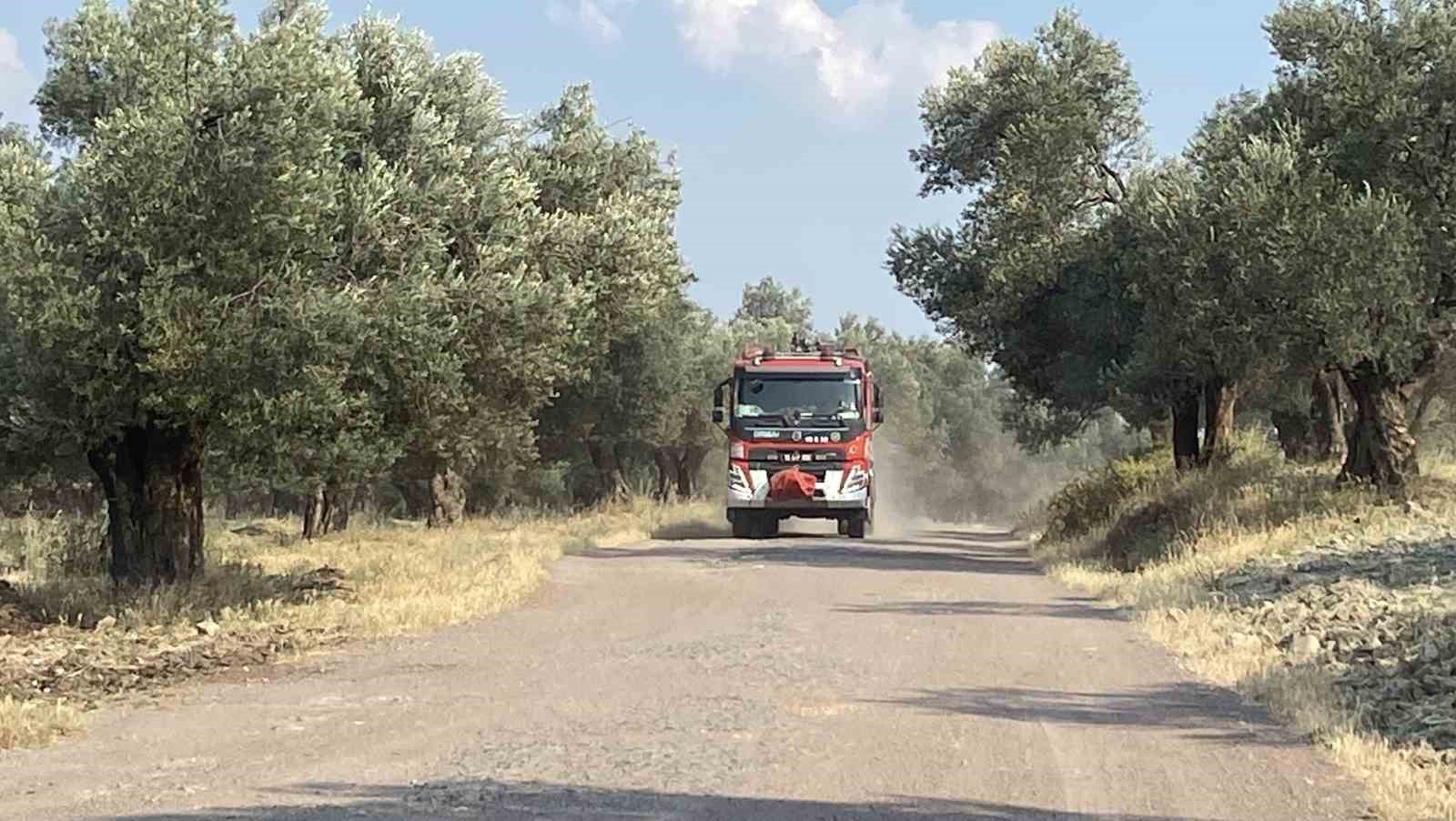 Ayvalık’ta zeytinlik alanda çıkan yangın kontrol altına alındı 