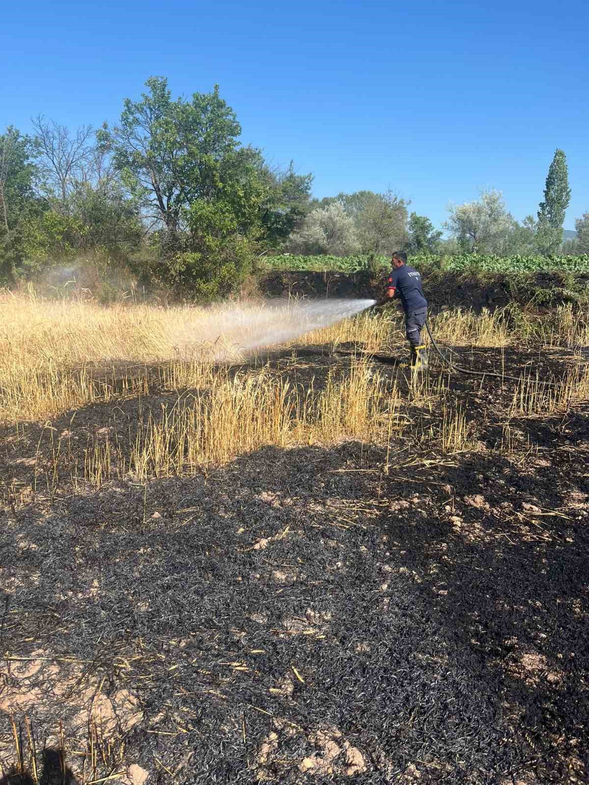 Yozgat’ta 20 dönüm ekili alan kül oldu 