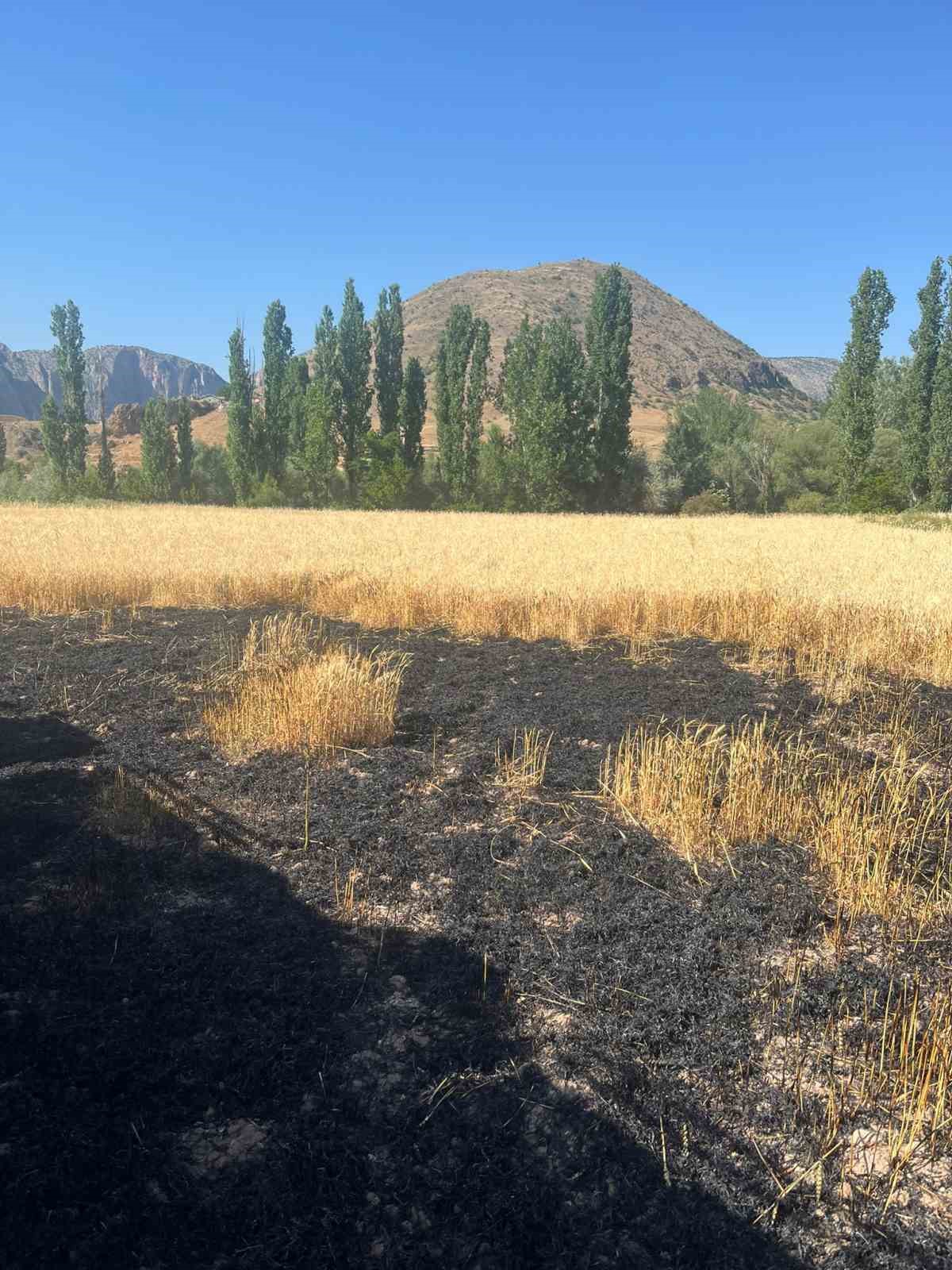 Yozgat’ta 20 dönüm ekili alan kül oldu 