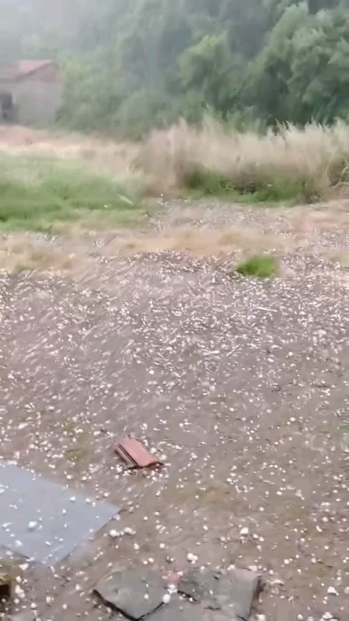 Edirne’de dolu yağışı etkili oldu 