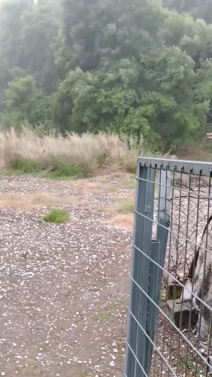 Edirne’de dolu yağışı etkili oldu 