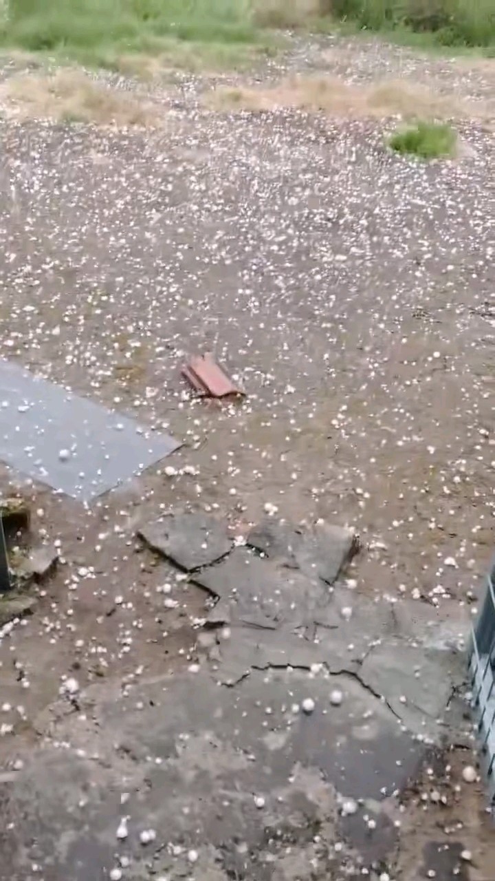 Edirne’de dolu yağışı etkili oldu 