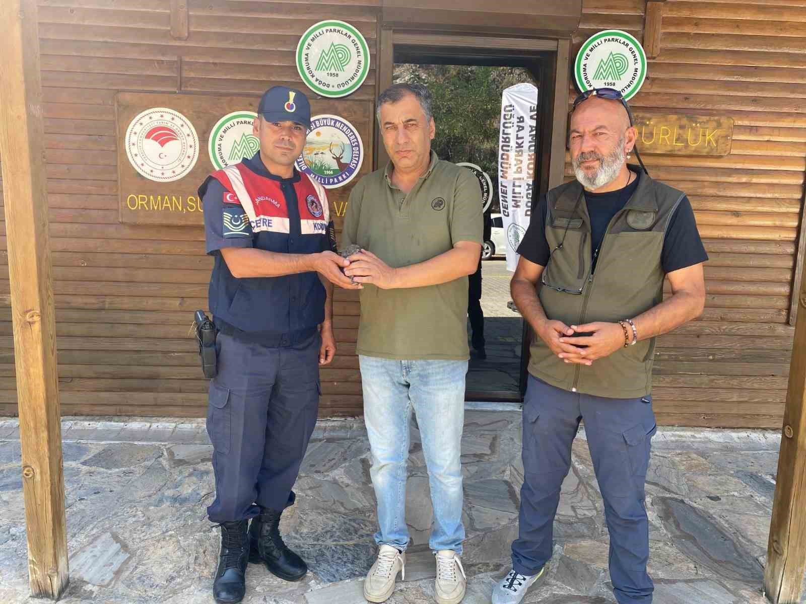 Yaralı halde bulunan baykuş, jandarma ekiplerince kurtarıldı 