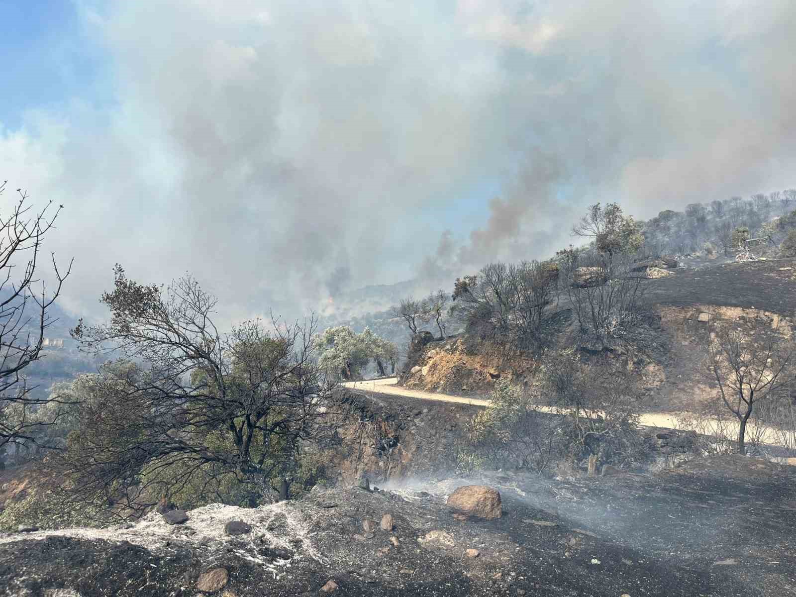 Aydın Efeler’de zirai alanda yangın, bazı evlerde hasar oluştu 