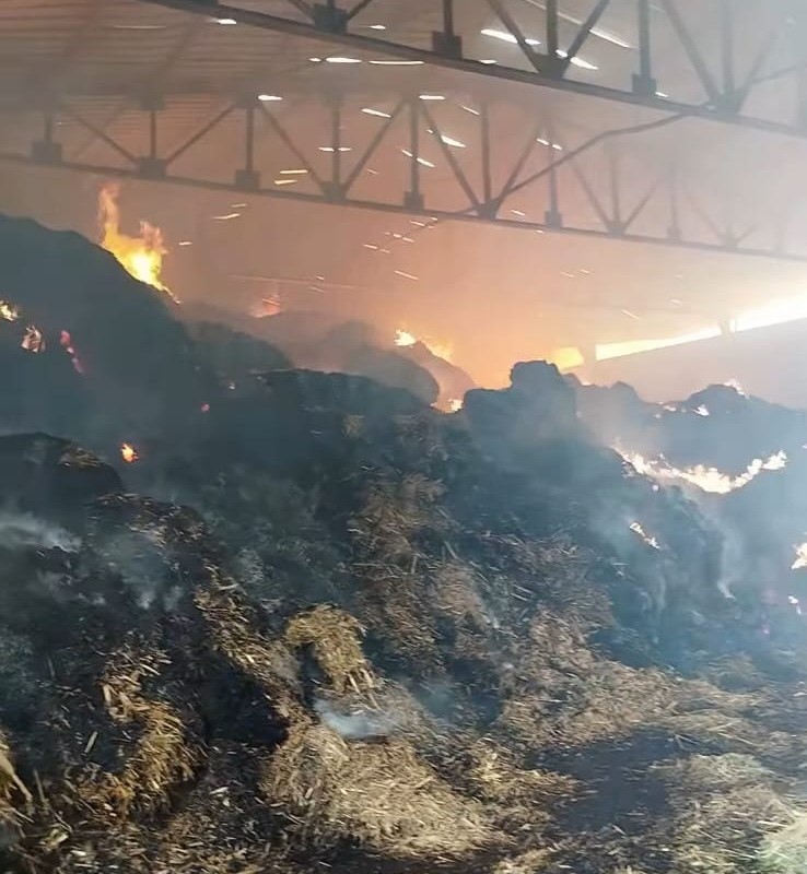 Manisa’da samanlık yangını: Binlerce balya saman kül oldu 