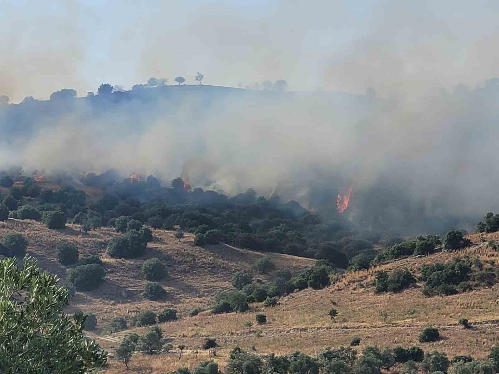 Aydın’da zirai alandaki yangın büyüyor 