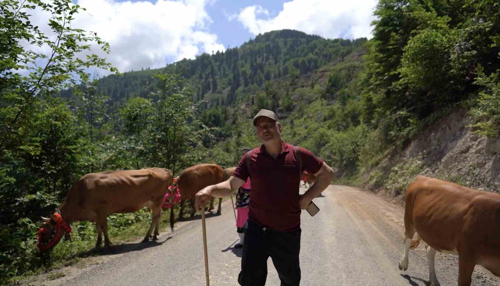 Karadeniz’den renkli yayla göçleri 