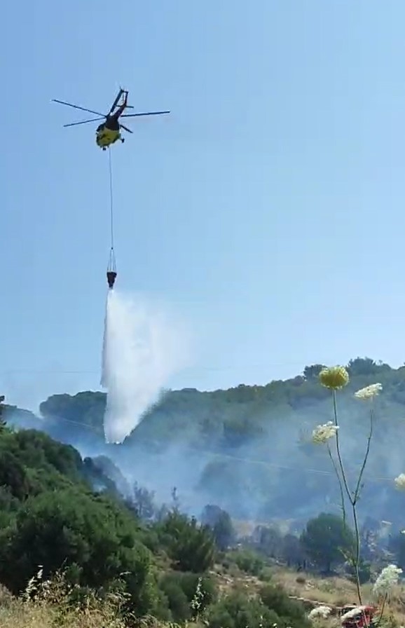 Kuşadası’nda orman yangını 