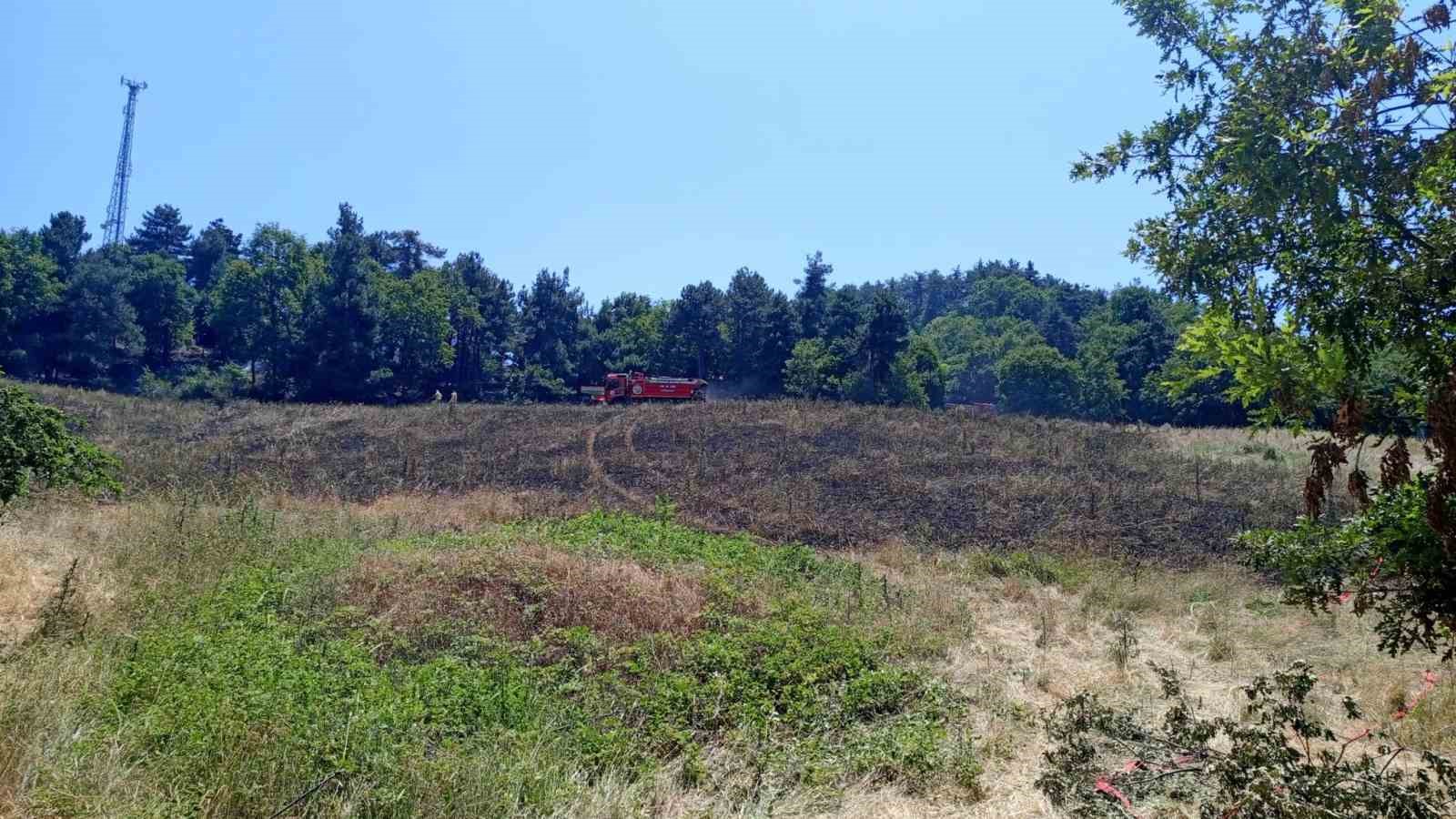 Dağyenice’de 25 dönüm küle döndü 