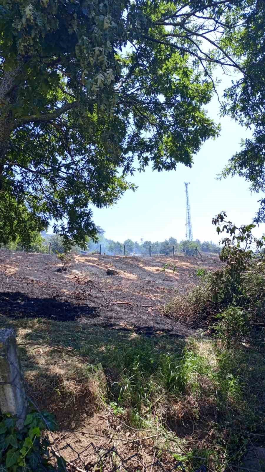 Dağyenice’de 25 dönüm küle döndü 