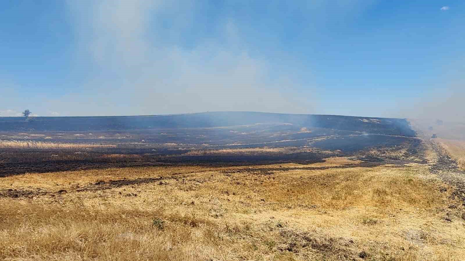 10 bin dönümlük arazi alevlere teslim oldu 