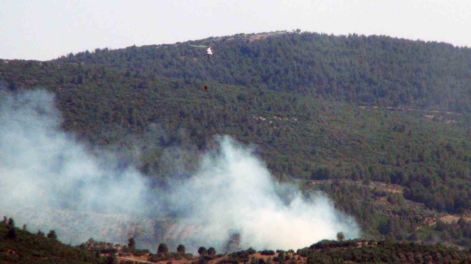 Menteşe’de orman yangını başladı 