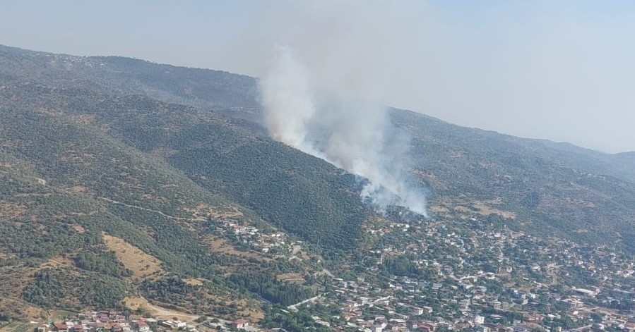 Söke’de zirai alan yangını 