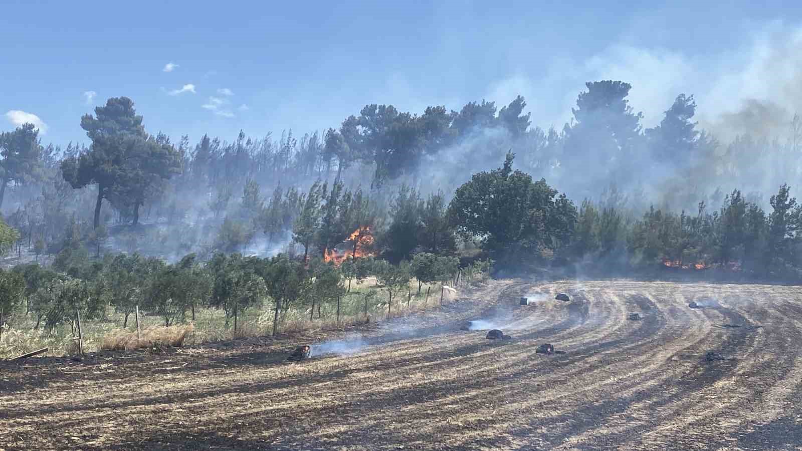 Çanakkale ve Biga’daki yangınlarla ilgili 3 kişi hakkında adli işlem yapıldı 